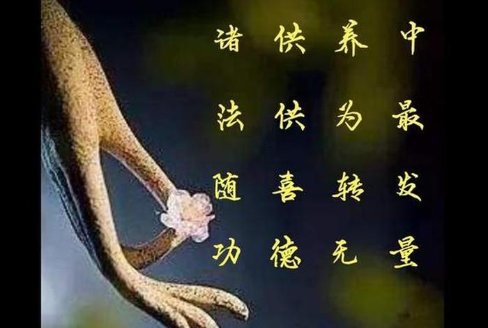 我想学佛教知识怎么办、我想学佛怎么学