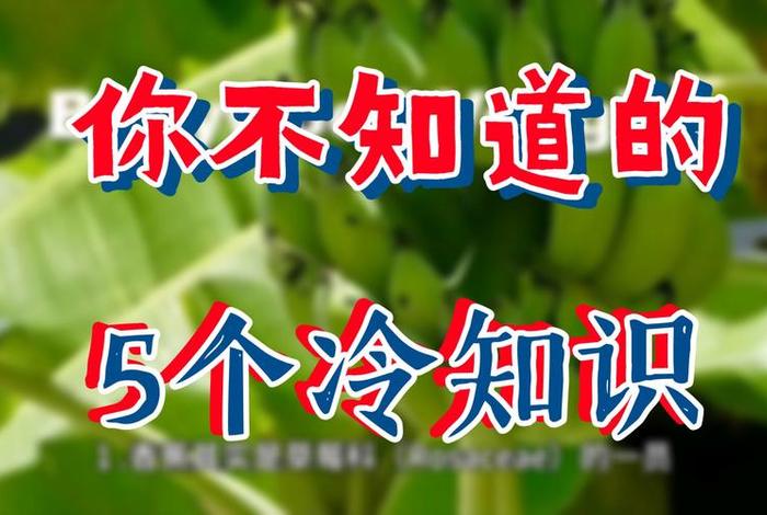 你不知道的冷知识原文、你不知道的冷知识图片