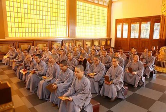 佛教在哪学 - 哪里可以学佛教