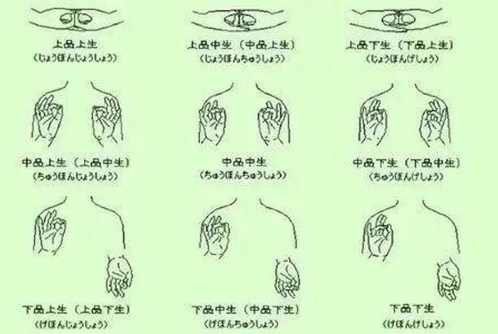 四生九有是指什么（佛教讲的四生九有是什么意思）