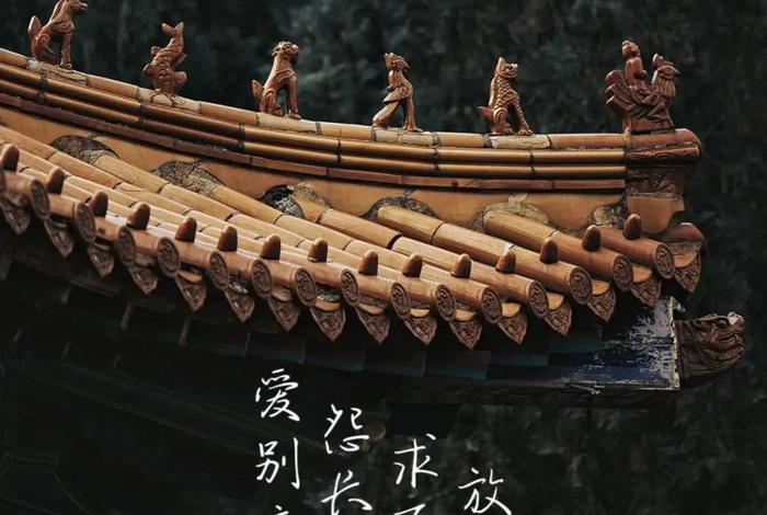 佛说人生八苦怎么解释；佛说人生八苦出自哪里