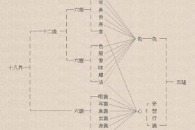佛说八识是什么，佛教说的八识都是哪