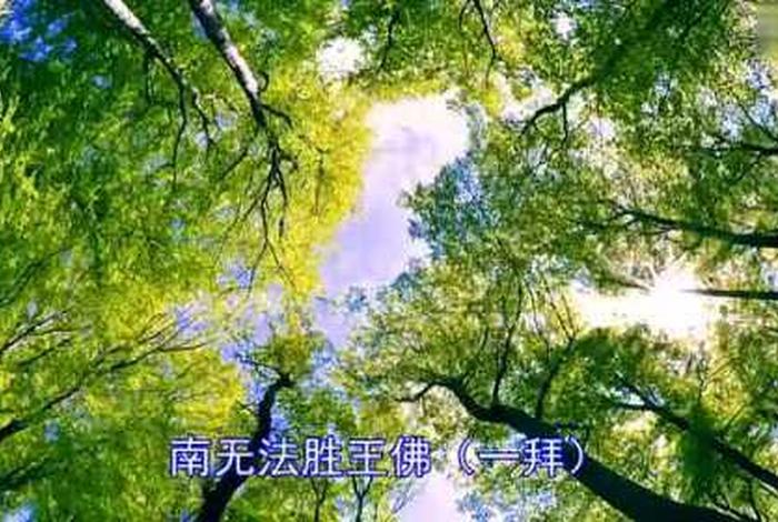 佛教知识视频；佛教讲解视频播放