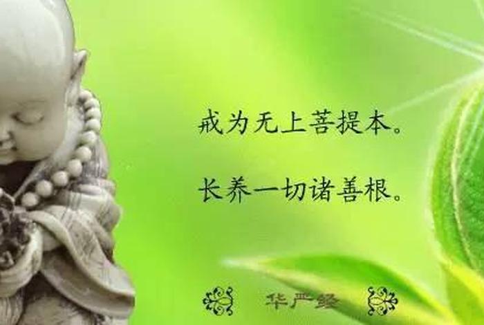 学习佛法知识发朋友圈 学佛的说说