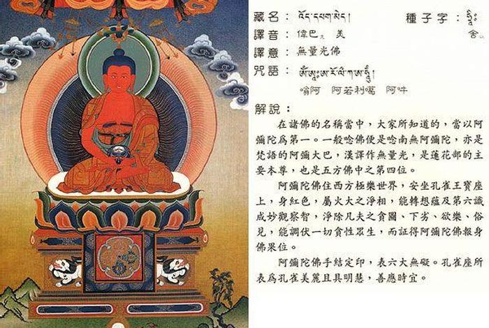 佛是玄学吗、佛教有玄学吗