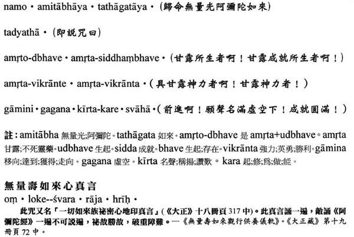 佛教知识大全渡劫咒语是什么（佛教渡劫经全文）
