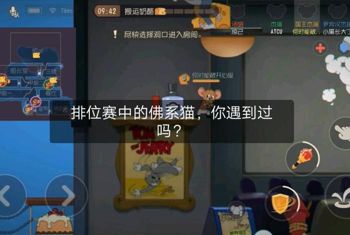 猫和老鼠佛系猫是什么意思，猫和老鼠佛系猫磊哥