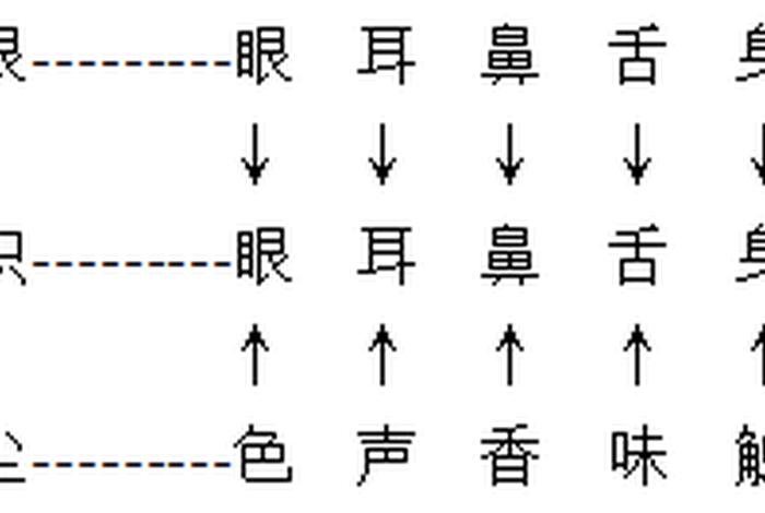 佛学常识六根六识什么意思 - 六根 六识