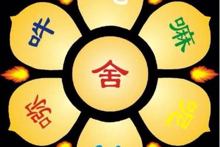 弘善佛教网app下载 - 弘善佛教网怎么样