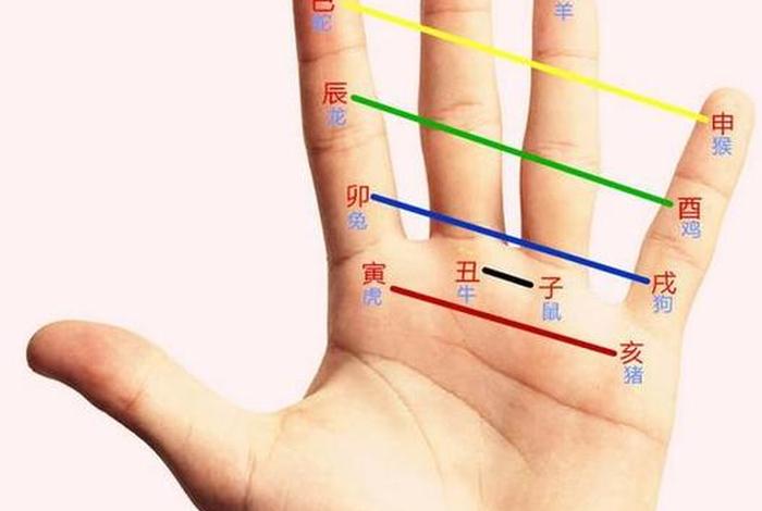 玄学算卦入门、玄学算卦入门视频