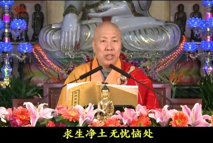 听法师讲净土知识 净土 法师