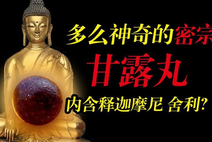 甘露丸咒语（甘露丸的妙用）