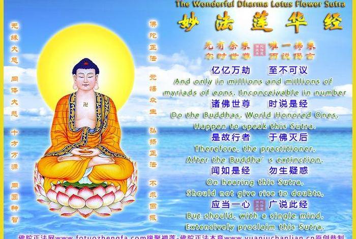 有关佛教方面的法律知识有哪些；关于佛教