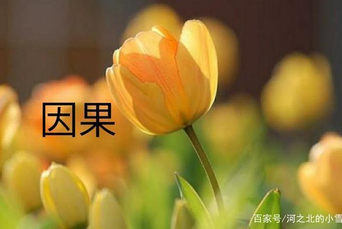 佛家漏尿因果，佛家有漏是什么意思