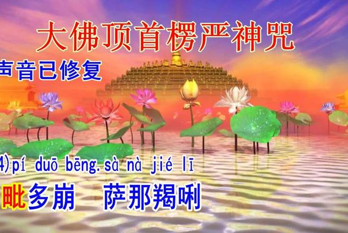 佛教语音视频、学佛语音视频