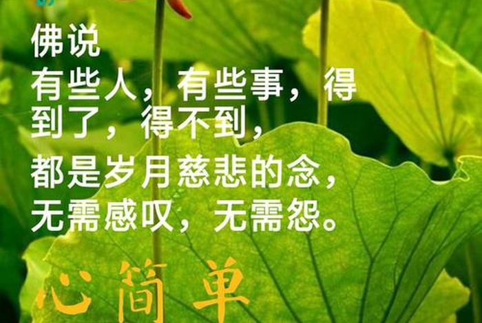 佛语安慰人的语句、佛说安慰别人的话