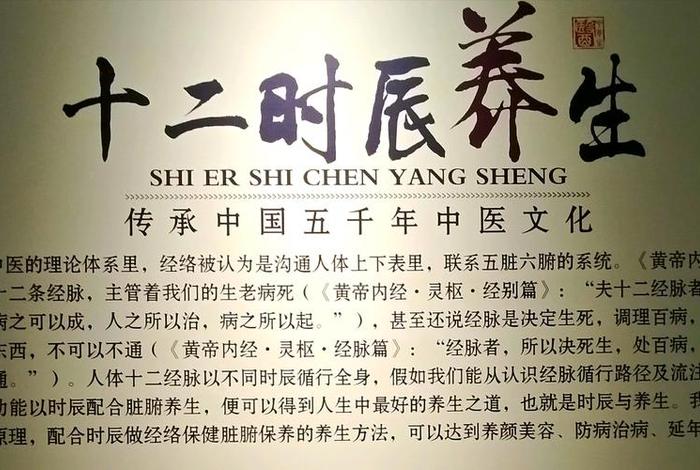 佛教保养五脏六腑知识讲解、佛教的养生之道