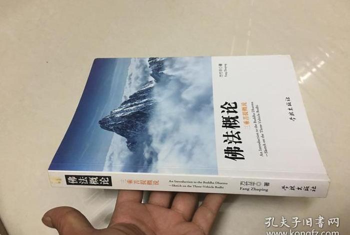 佛法概论txt下载；佛法概论视频
