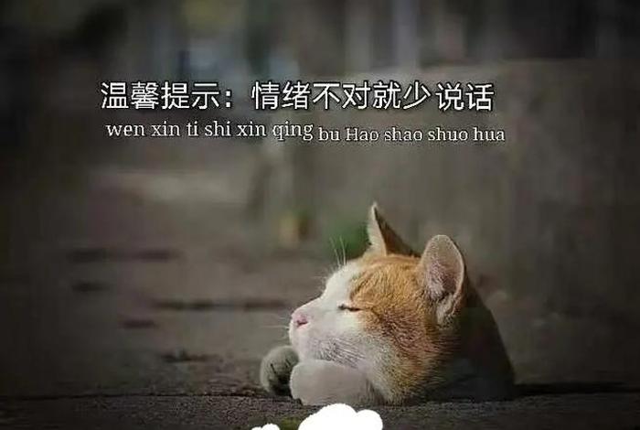 及时之雨任务，及时雨指的什么意思