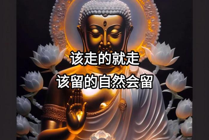 佛教人生禅悟语录视频；佛教人生禅悟语录视频下载