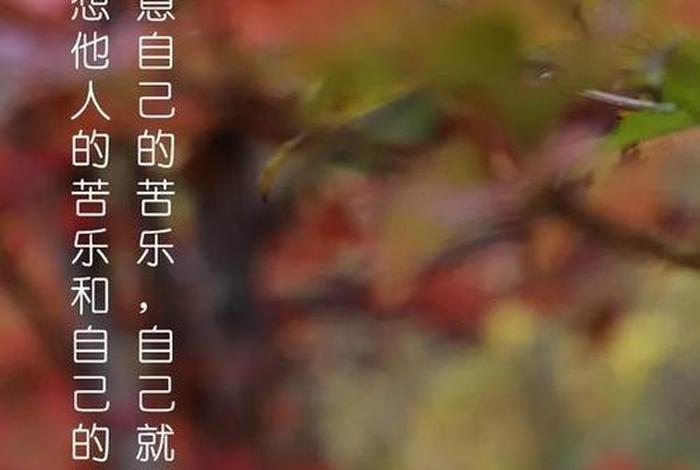 佛家苦乐（佛教苦乐观）
