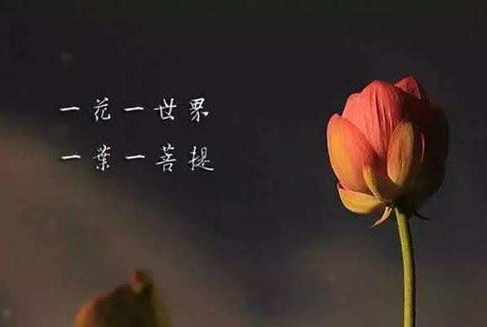 佛家讲的出离心是什么（佛说的出离心什么意思）