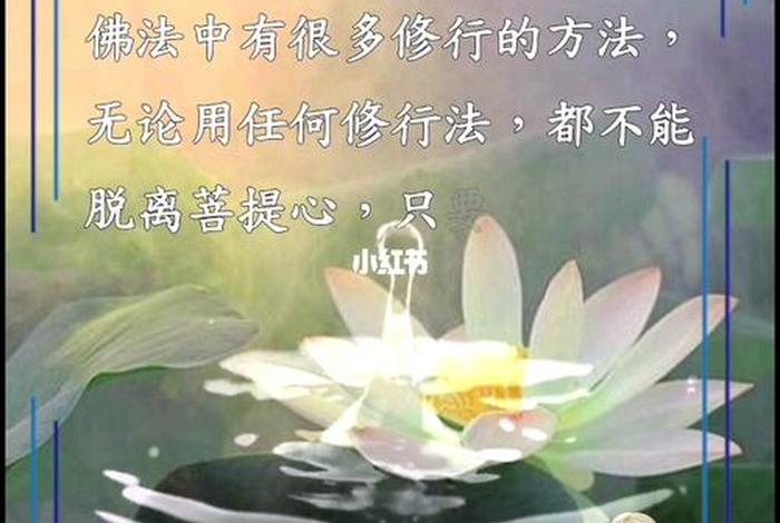 佛的正知见是什么、佛法正见是什么