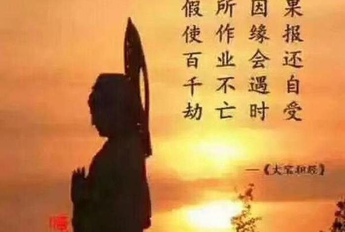 从佛教学中明白很多为人的道理，佛学教会我们什么