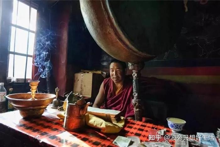 想信佛教入门知识的人多吗知乎，信佛教到底好不好