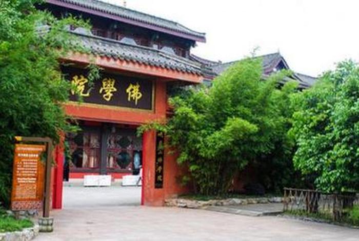 有没有佛教专业（佛教专业的大学）