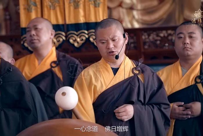 科普佛教知识的纪录片视频播放；了解佛教 视频