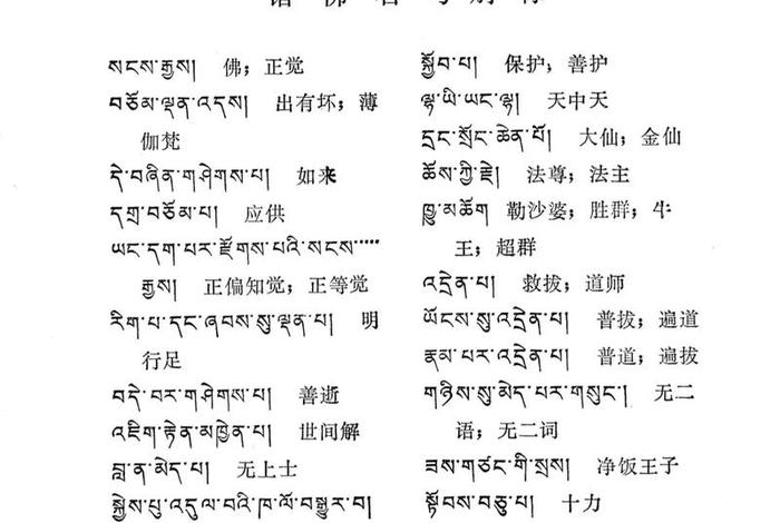 佛教术语 藏传佛教术语