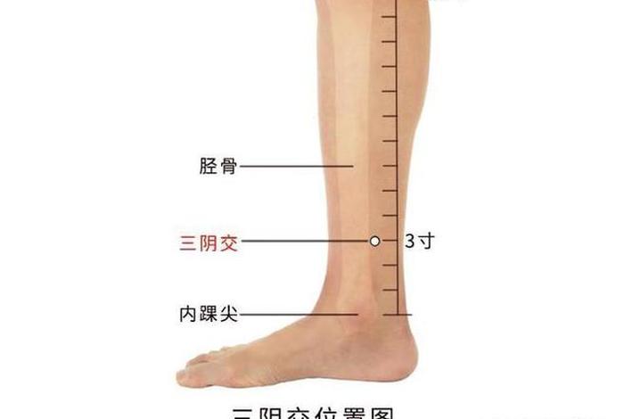三阴是哪；三阴是哪条经络