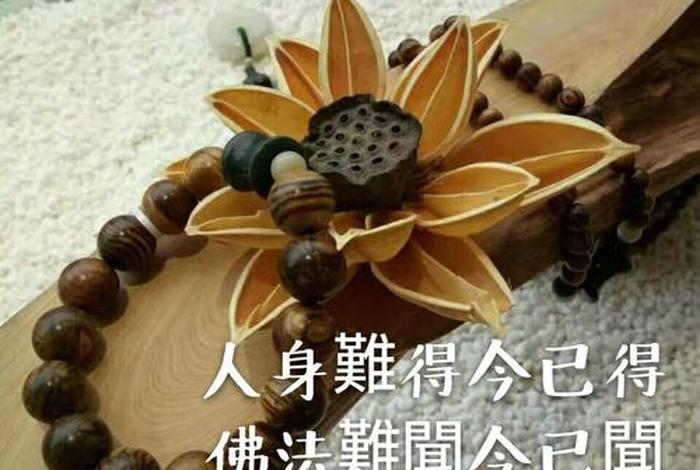 学佛是学佛的什么，学佛是啥