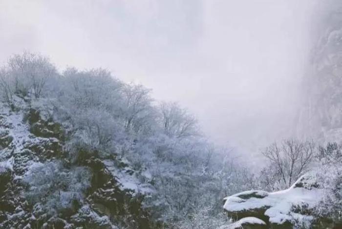 佛家问道 - 佛家问道的经典句子