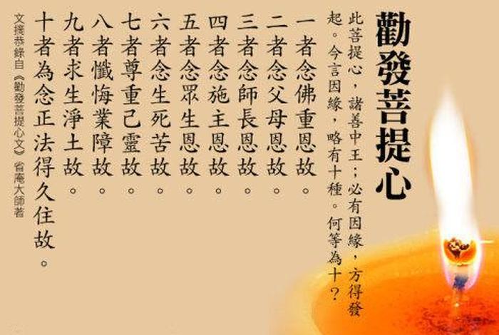 佛教是属于国学文化吗（佛教属于国学吗？）