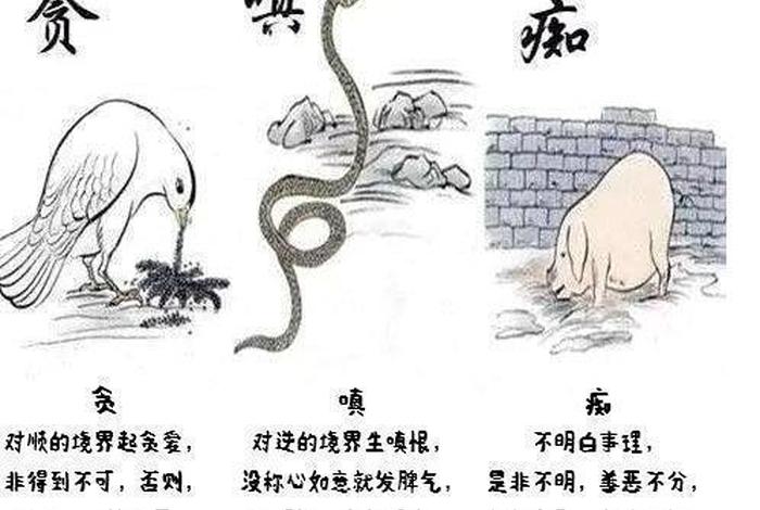 佛教的贪嗔痴是什么、佛教中的贪嗔痴