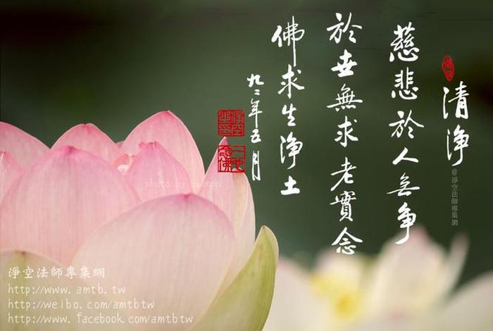 佛学清净心，佛家讲清净心