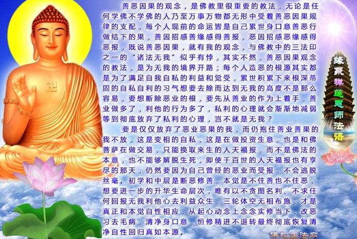 佛教讲的是 - 佛教讲的是因果