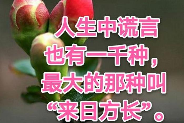 佛教为什么讲世事无常 为什么说世事无常