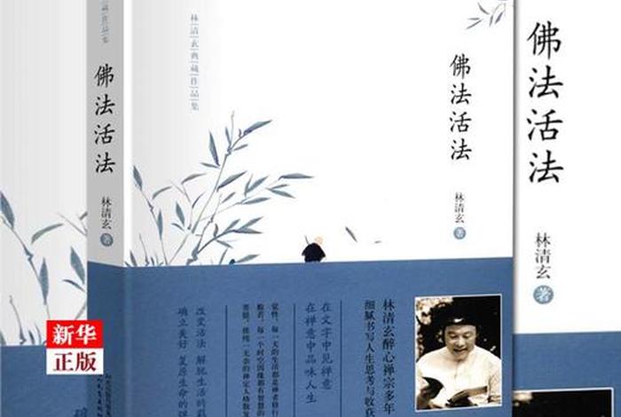 涉及佛教问题的现代小说 - 涉及佛教问题的现代小说作品