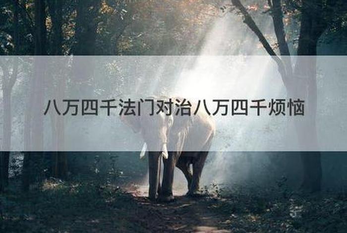 佛学八万四千法门都哪些；佛陀说八万四千法门
