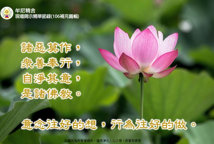 佛教关于相互信任的用语 佛教关于相互信任的用语句子