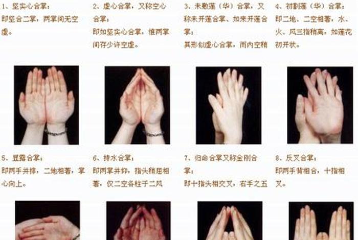 佛学知识礼佛常识之合掌篇 - 学佛合掌是什么意思