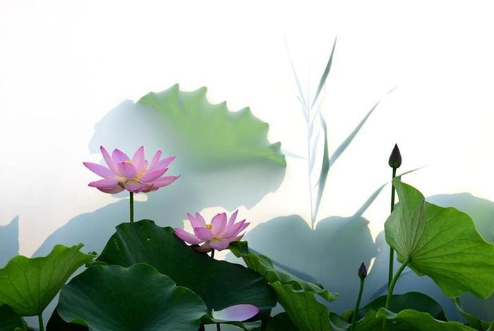 佛说的出离心什么意思；出离心的功德和利益