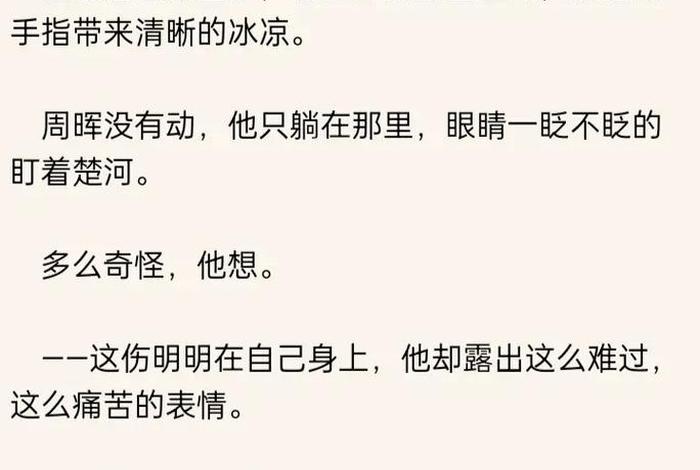《提灯映桃花》（提灯映桃花未删减番外免费阅读）