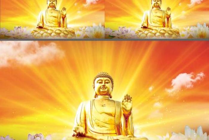 佛教知识抖音视频素材下载网站、佛教知识抖音视频素材下载网站大全
