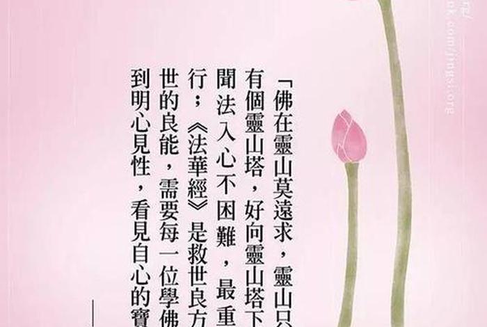 佛教的明心见性；佛家明心见性