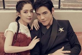 向佐专业讲解；向佐专访视频