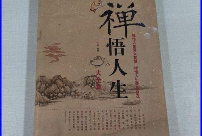 禅悟人生的深度解读（禅悟人生书籍）